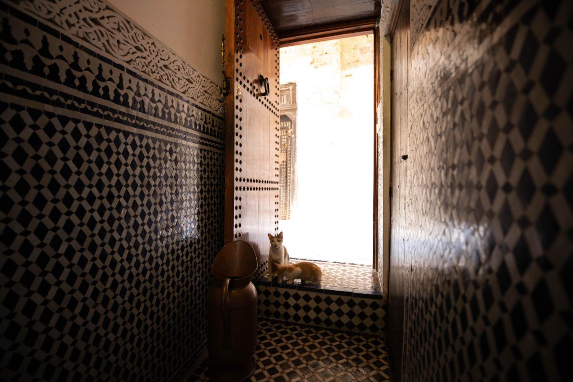 Riad Dar Omar 非斯 外观 照片