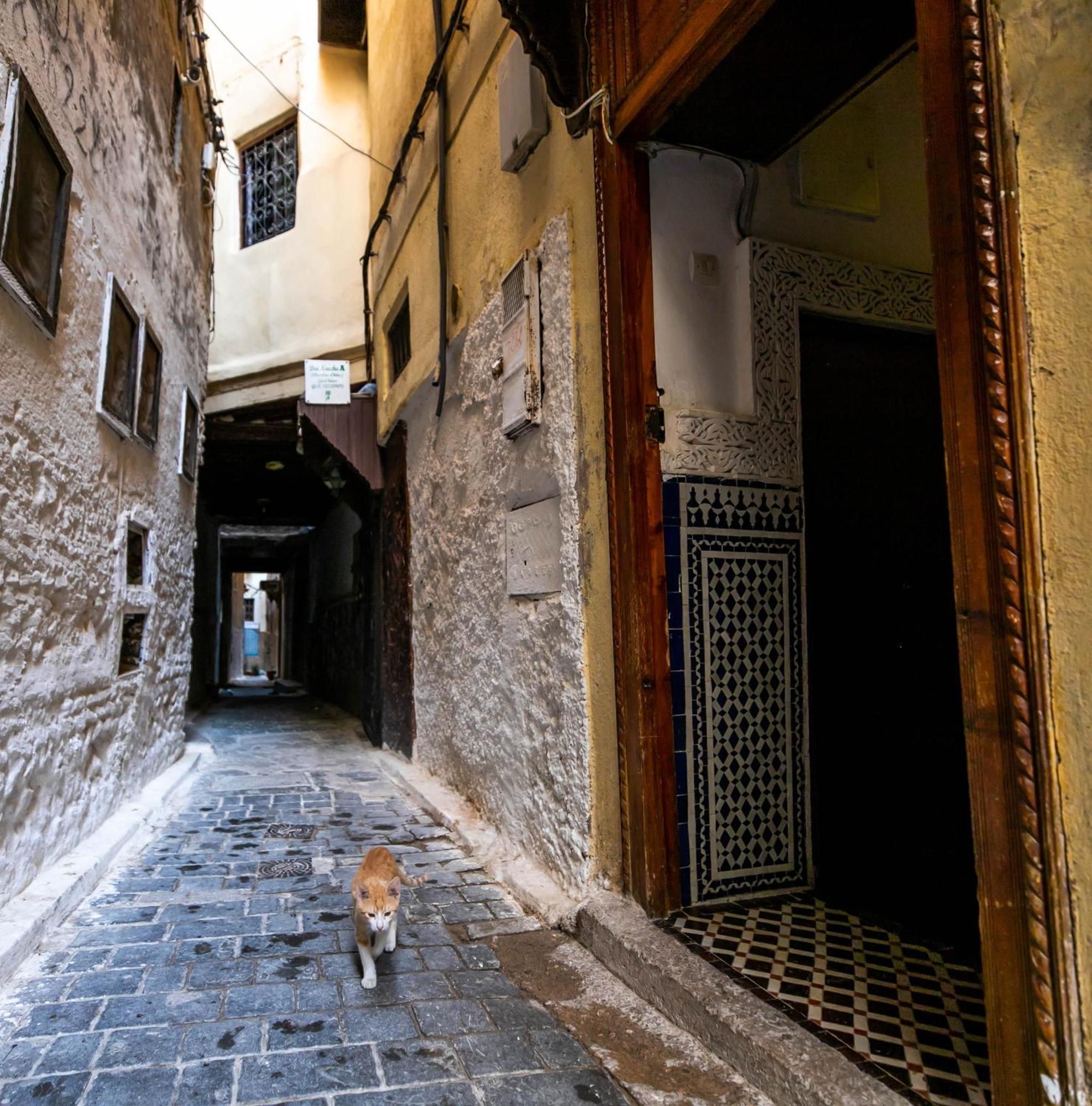 Riad Dar Omar 非斯 外观 照片